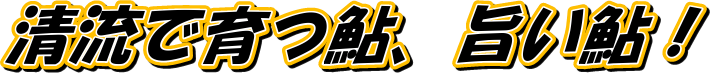 ňA|I