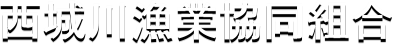 싙Ƌg